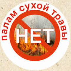 природоохранная акция «Дни защиты от экологической опасности. Нет весенним палам!» 