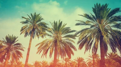 Test Post